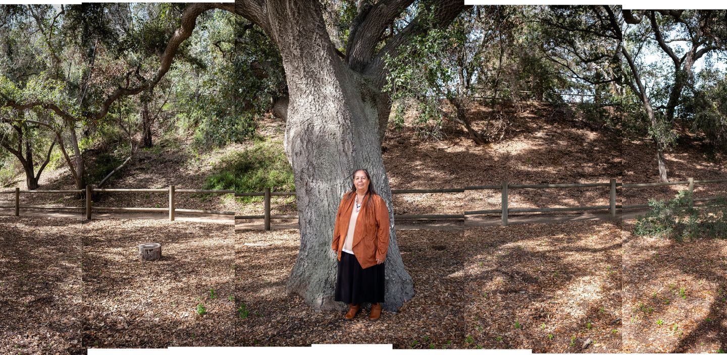 Julia Bogany is a teacher, cultural ambassador, artist, speaker, mother, grandmother, great-grandmother, and member of the Indigenous Tongva tribe. Here she poses for a portrait in front of a giant Oak tree at the replica of a Tongva village at the Santa Ana Botanic Gardens in Claremont.