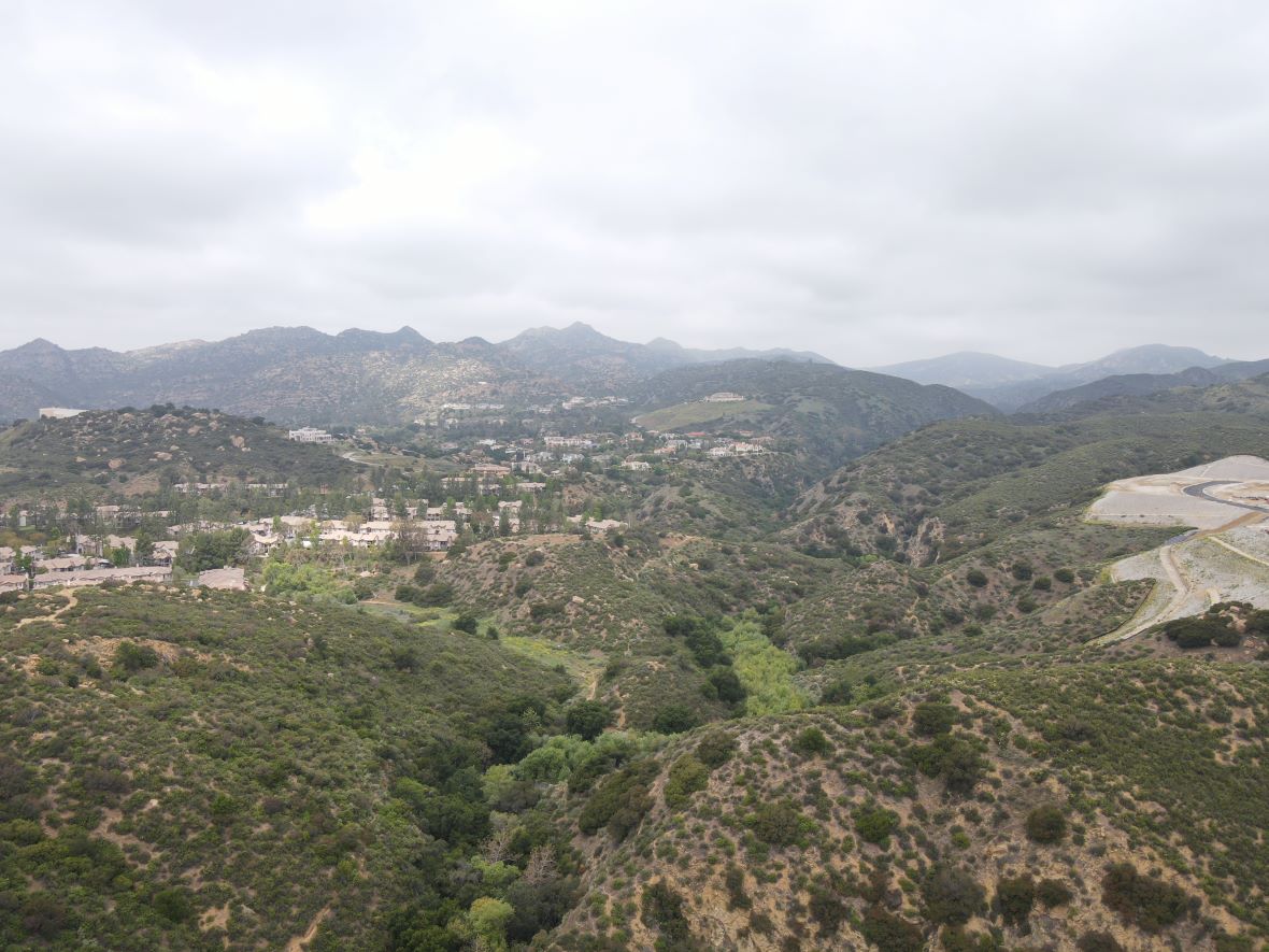 Oak_8_1180.jpg
