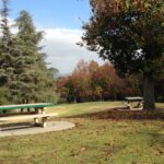 Picture of Schabarum Park. Picture shows a table, lawn, trees, and sky