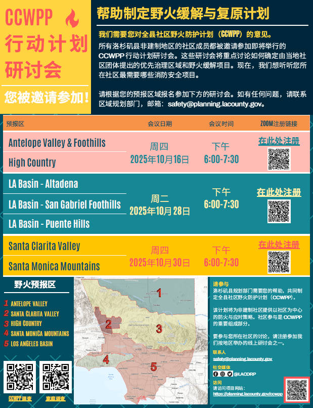 CCWPP Action Plan Workshops 3 in Chinese