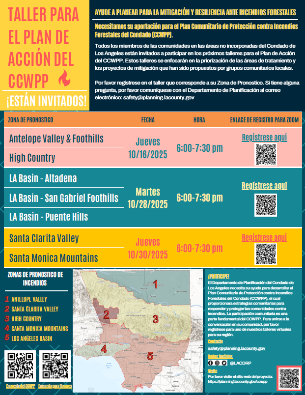 CCWPP Action Plan Workshops 3 in Spanish