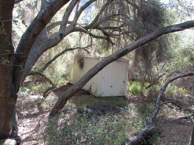 Photo 57: A cargo container is encroaching into the protected zone of an oak tree by being stored under the canopy of the Oak Tree.